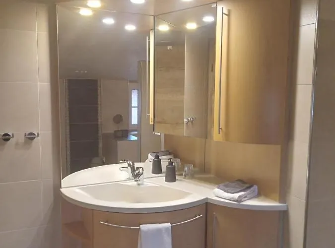 酒店 Olfenlodge Olfen