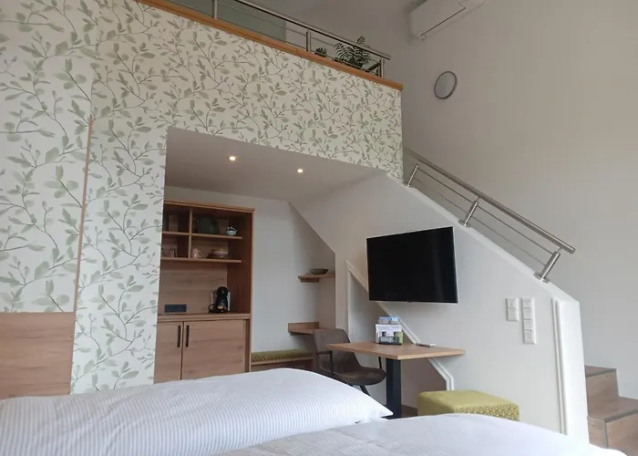 酒店 Olfenlodge Olfen